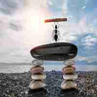 智﻿能​排﻿考‌系‍统‌